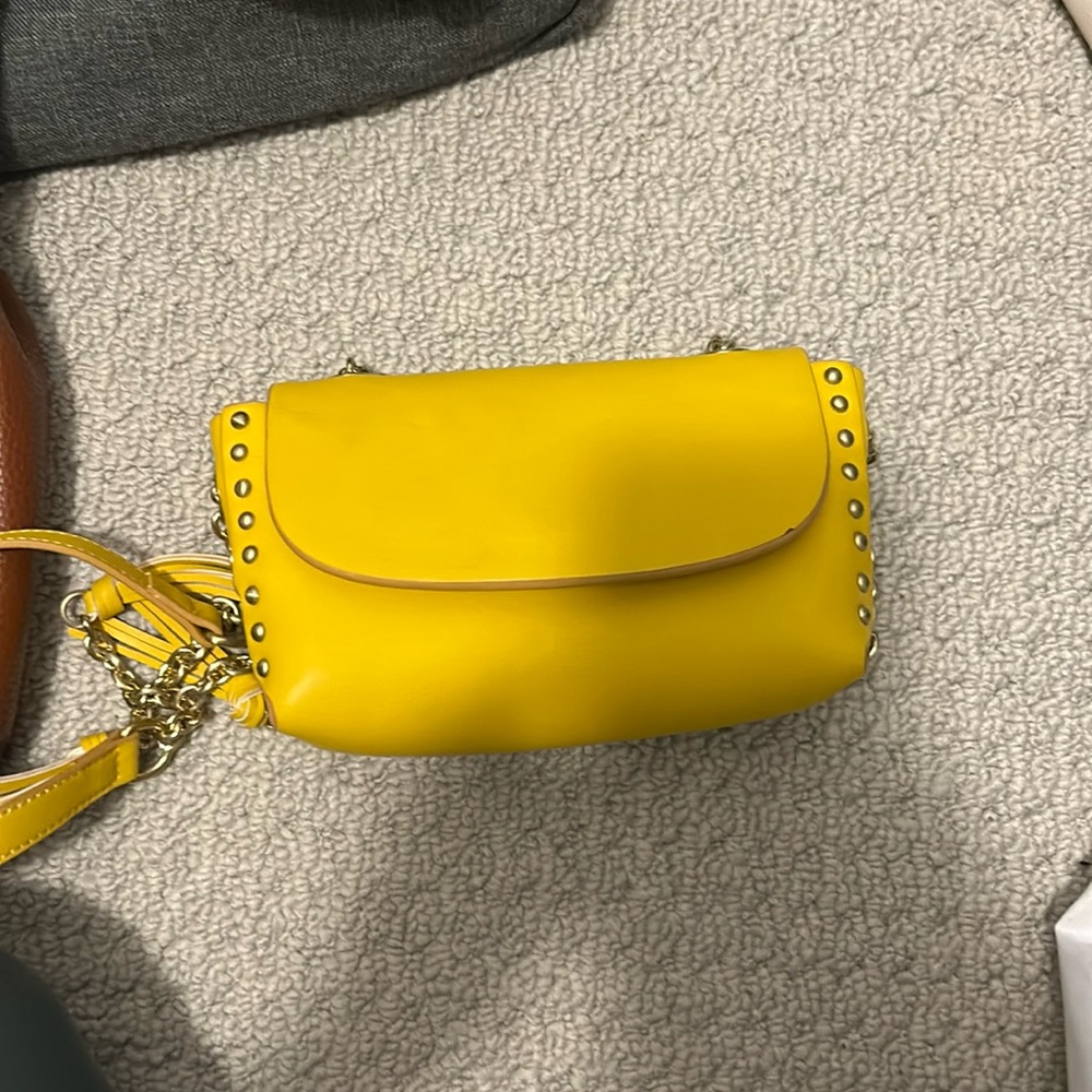 Zara purse